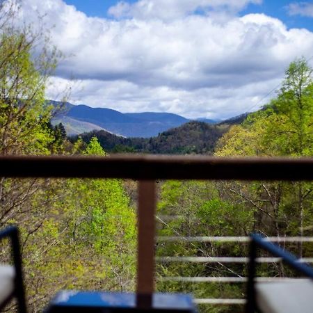 Family Cabin Near Smoky Mtn Entrance Nantahala Robbinsville Esterno foto