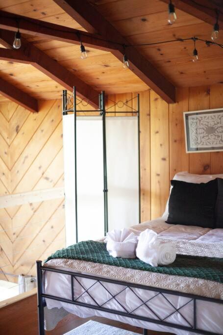 Family Cabin Near Smoky Mtn Entrance Nantahala Robbinsville Esterno foto